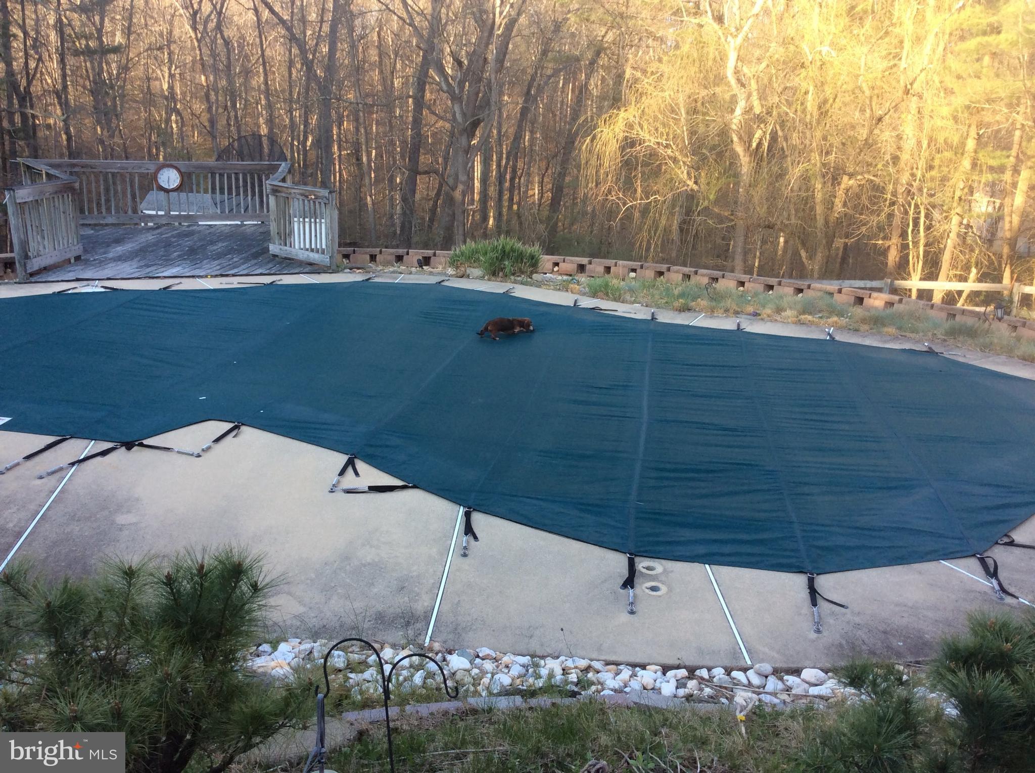2150 Brown Road Finksburg, MD 21048 - Photo 78 of 81 Custom Mesh Pool Cover Conveys