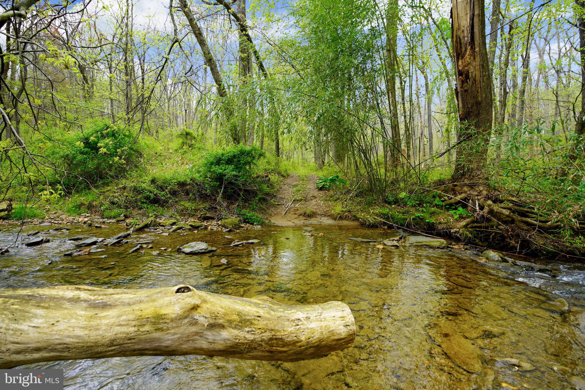2150 Brown Road Finksburg, MD 21048 - Photo 81 of 81 Creek Crossing for the Mule