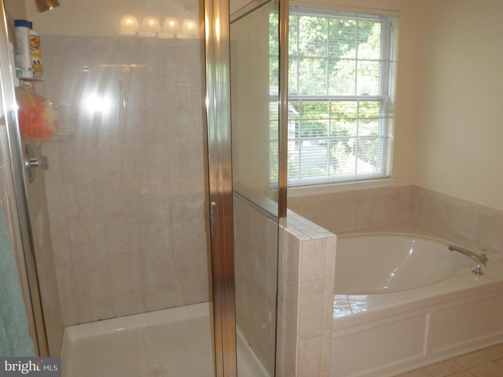 82 Jones Station Road Arnold, MD 21012 - Photo 22 of 30 Bath (Master)