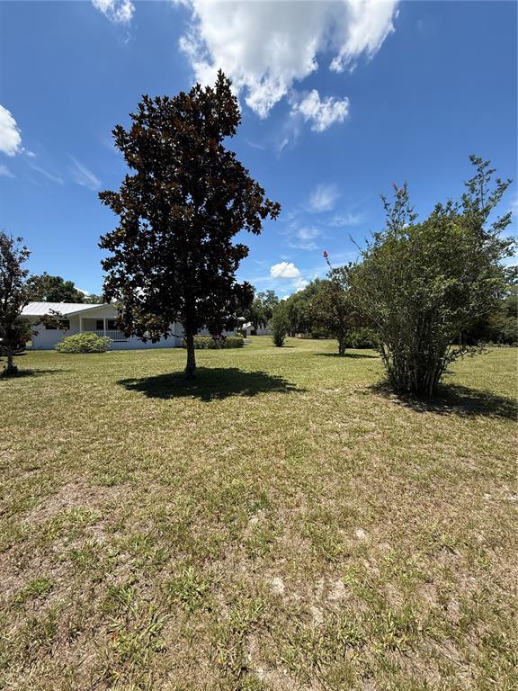 7390 South Mc Alpin Road McAlpin, FL 32062 - Photo 30 of 53 a view of a golf course with a lake