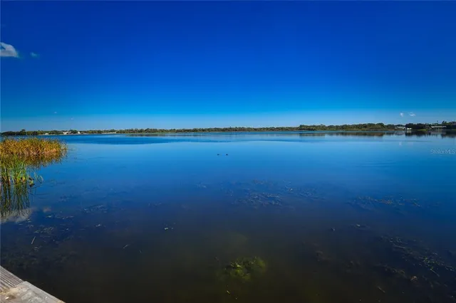a view of front door of house with potted plants