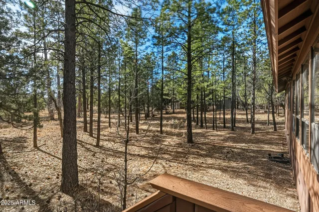 $484,500 | 2768 Apache Drive, Happy Jack, AZ 86024