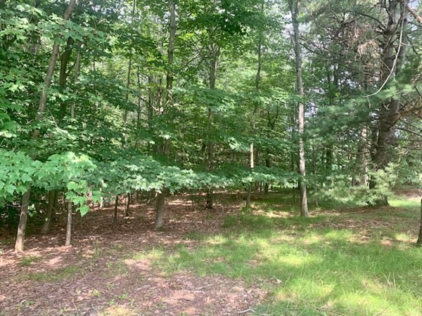 Lot 2 Old Northfield Road Ashby, MA 01431 - Photo 1 of 5 Gallery Image 1