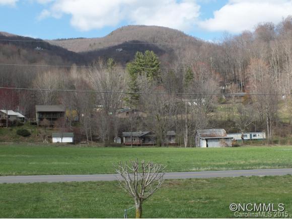 1105 Moody Farm Road Maggie Valley, NC 28751 - Photo 12 of 22 a view of a grassy field with an trees