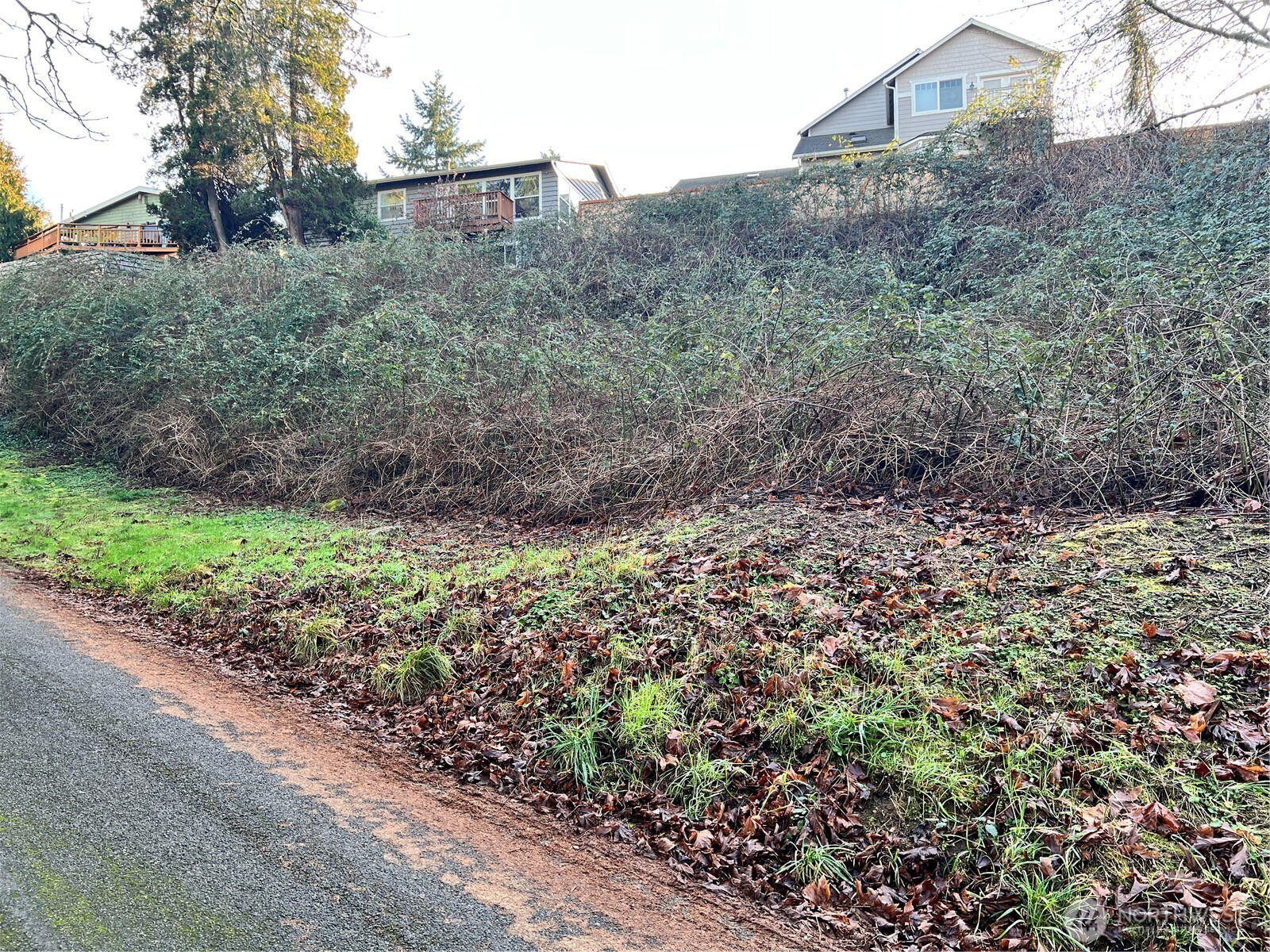 a big yard with lots of green space