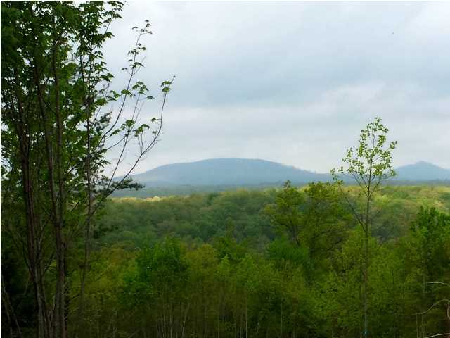 0 Partridge Trail Spring, Unit LOT34 Grandview, TN 37337 - Photo 11 of 19 Views of Surrounding Mountains