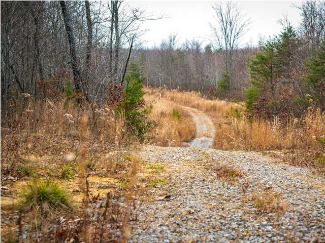 0 Partridge Trail Spring, Unit LOT34 Grandview, TN 37337 - Photo 12 of 19 AVT & Horse Trails