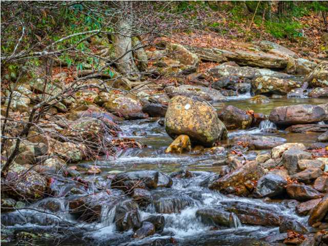 0 Partridge Trail Spring, Unit LOT34 Grandview, TN 37337 - Photo 13 of 19 Rushing Creeks