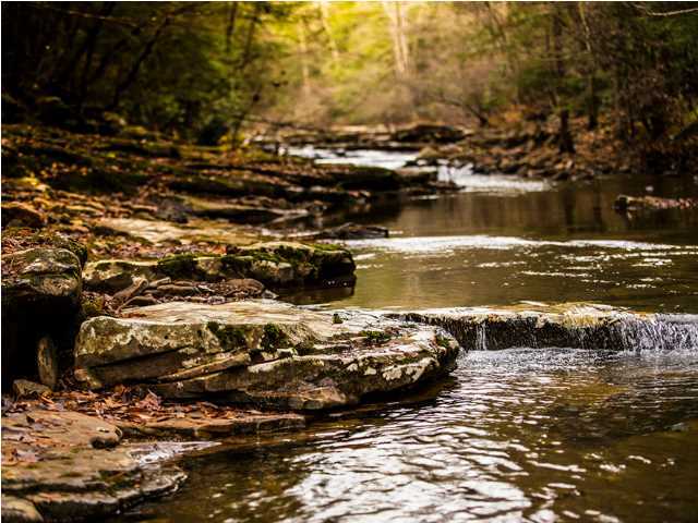 0 Partridge Trail Spring, Unit LOT34 Grandview, TN 37337 - Photo 17 of 19 Access to Creeks on Nature Preserve