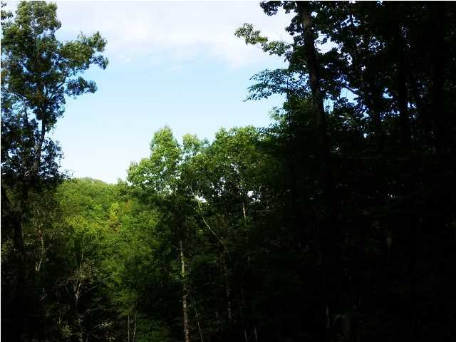 0 Partridge Trail Spring, Unit LOT34 Grandview, TN 37337 - Photo 2 of 19 Private Land