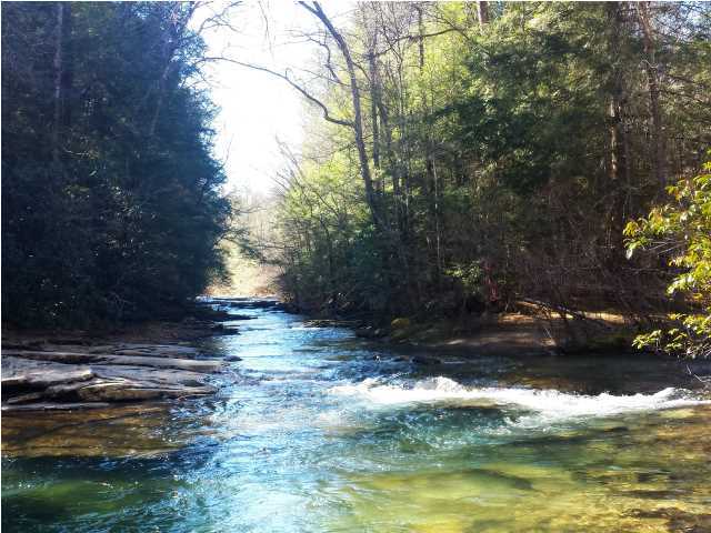 0 Partridge Trail Spring, Unit LOT34 Grandview, TN 37337 - Photo 6 of 19 Access to Year Round Creek