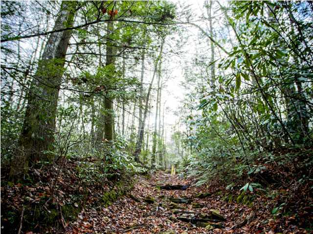 0 Partridge Trail Spring, Unit LOT34 Grandview, TN 37337 - Photo 7 of 19 Recreational Trails