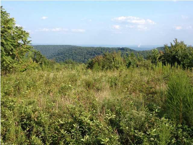 0 Partridge Trail Spring, Unit LOT34 Grandview, TN 37337 - Photo 8 of 19 Mountain Views