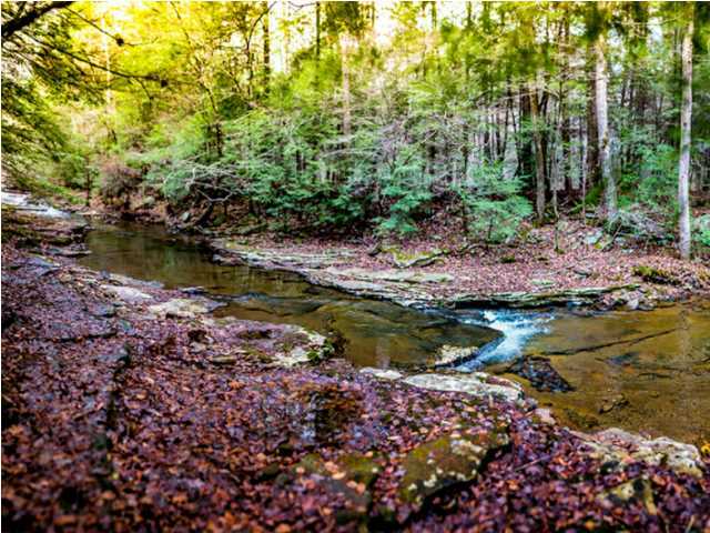 0 Partridge Trail Spring, Unit LOT34 Grandview, TN 37337 - Photo 10 of 19 Crystal Clear Mountain Creek