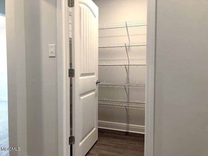 6239 Roxanne Way Biloxi, MS 39532 - Photo 7 of 21 lot 40 walk in pantry