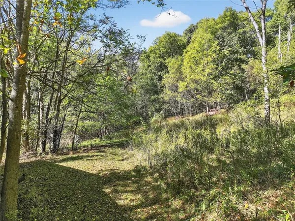 a view of yard with green space