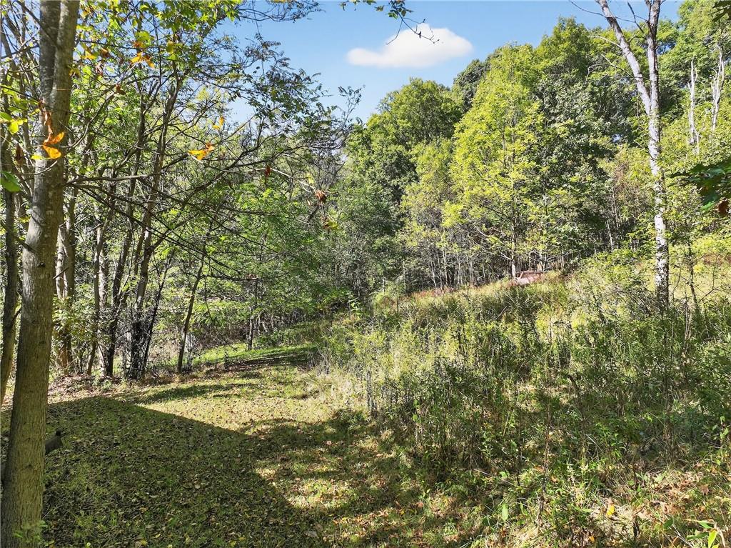 82 Phillips Road Burgettstown, PA 15021 - Photo 12 of 49 a view of yard with green space