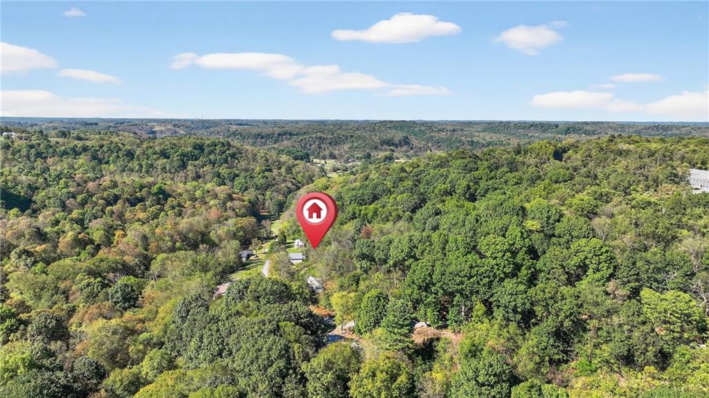 82 Phillips Road Burgettstown, PA 15021 - Photo 23 of 49 a view of a field with an tree and plants