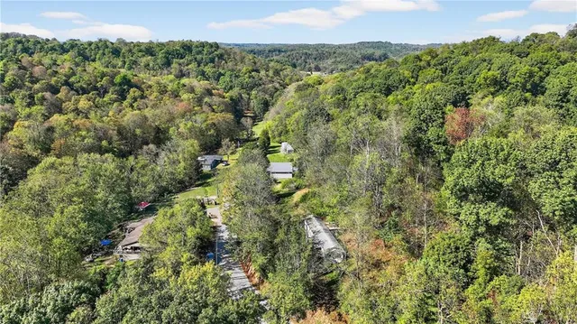 a view of a lush green forest with trees and some houses