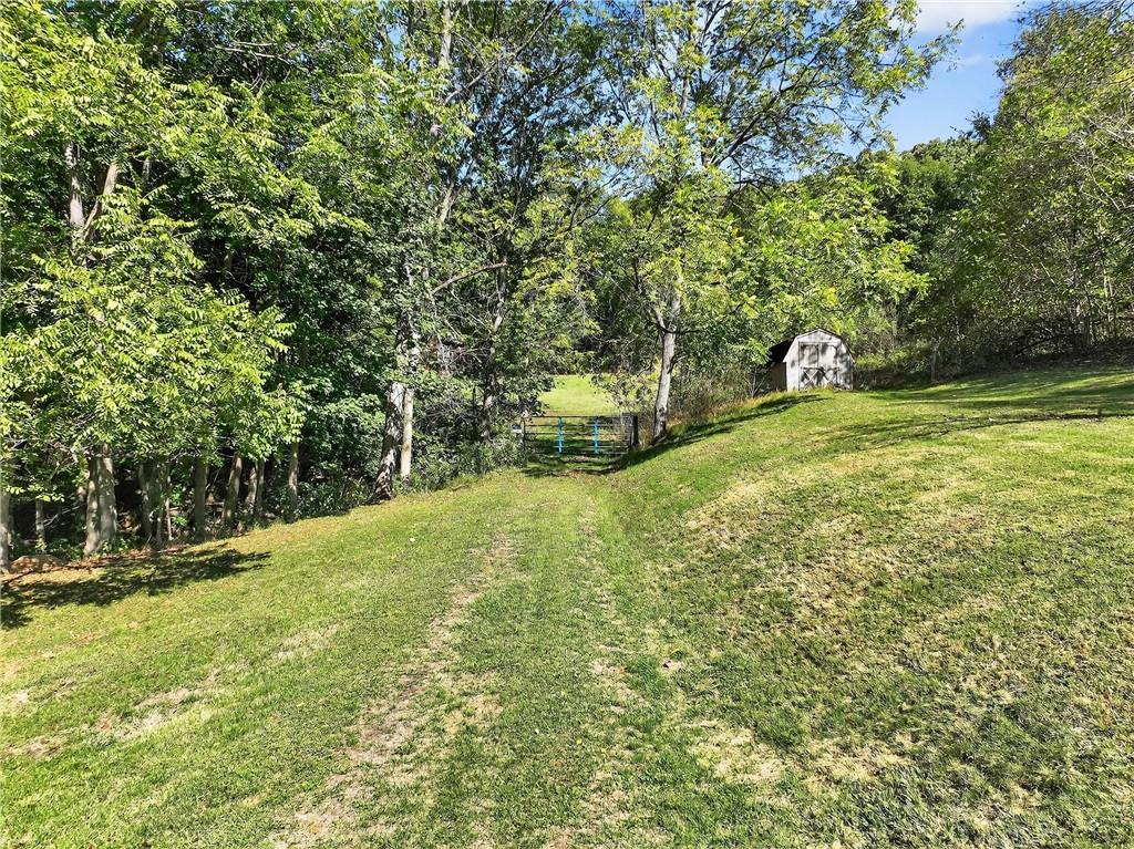 82 Phillips Road Burgettstown, PA 15021 - Photo 7 of 49 a view of a yard with a tree