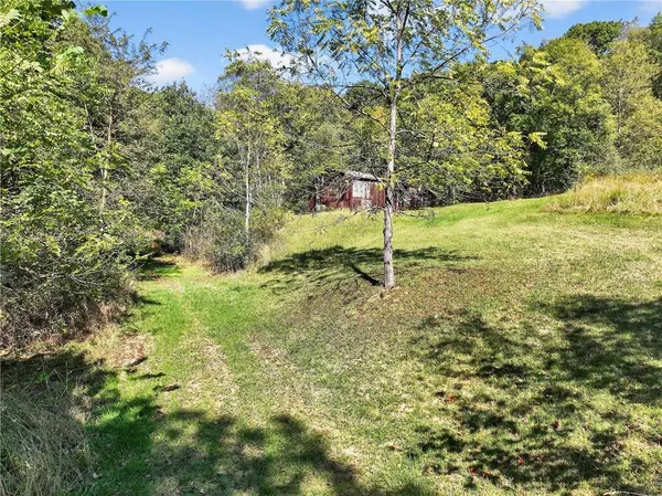 a view of a garden with a tree
