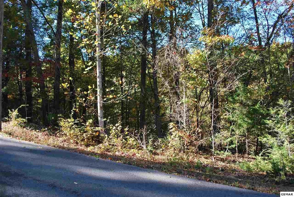 0 Pinemont Drive Pigeon Forge, TN 37863 - Photo 3 of 3
