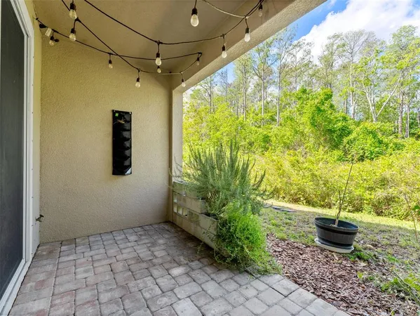 $3,000 | 5845 Grand Sonata Avenue, Lutz, FL 33558
