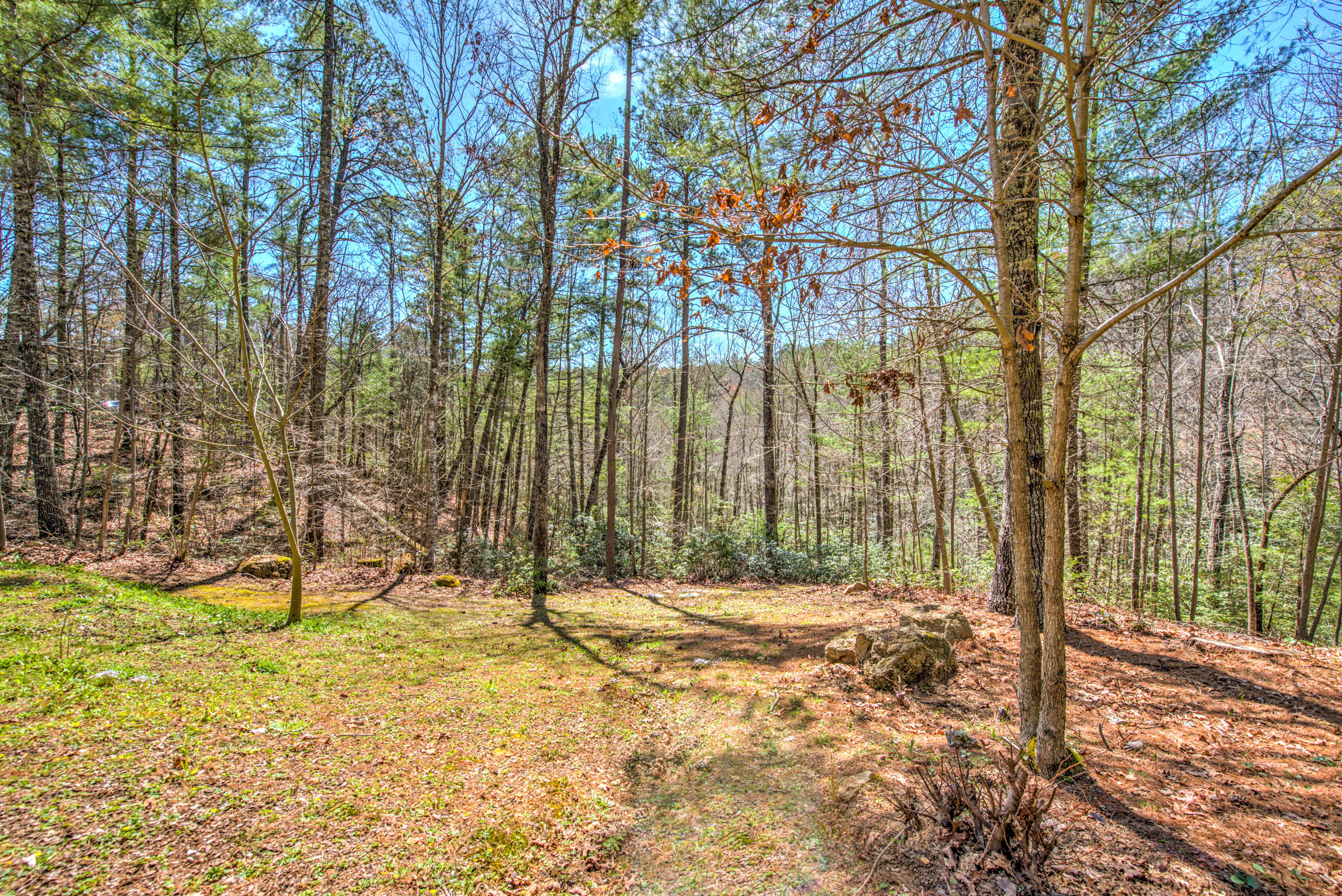 1940 Fox Trail Road Walland, TN 37886 - Photo 7 of 39 1940 Fox Trail Road, Walland