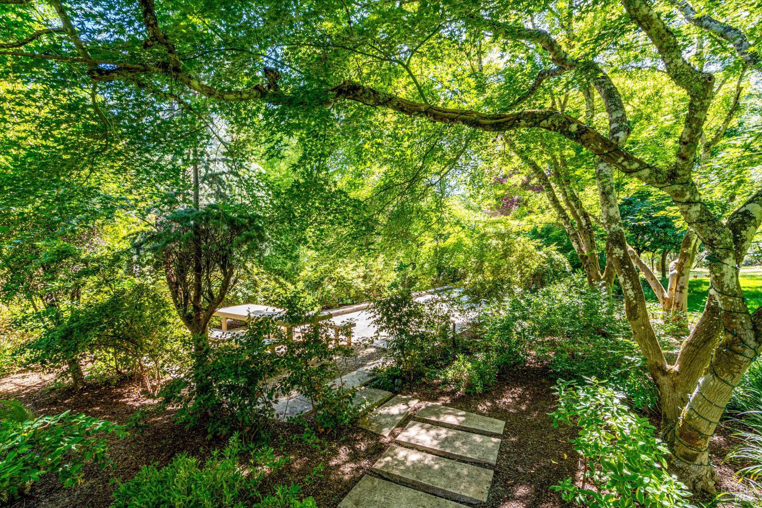 850 Conn Valley Road St. Helena, CA 94574 - Photo 59 of 79 a backyard of a house with lots of trees
