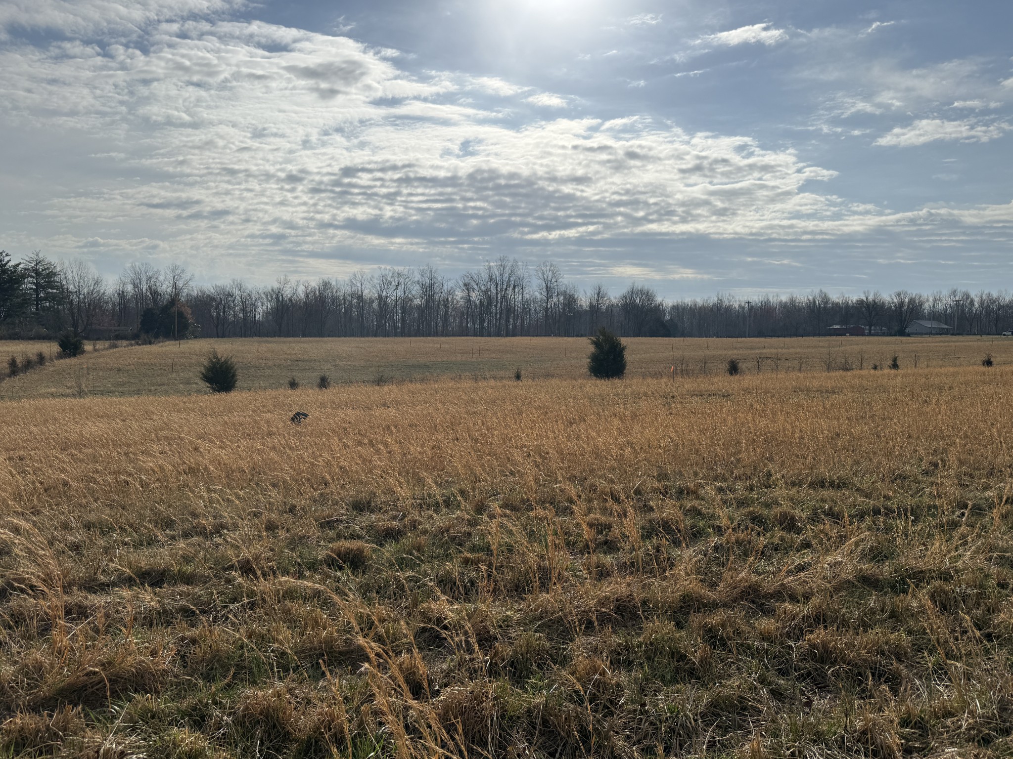 777 Mt Vernon Road Bethpage, TN 37022 - Photo 2 of 4