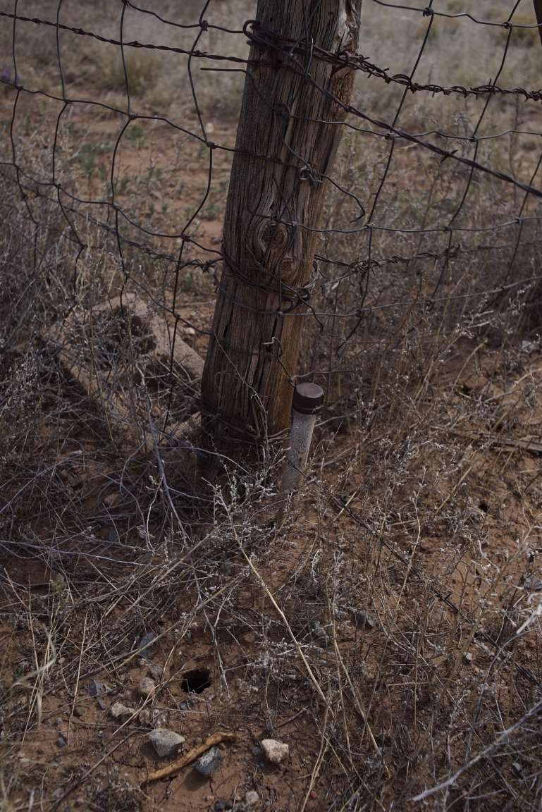 0 County Road Ribera, NM 87560 - Photo 7 of 20