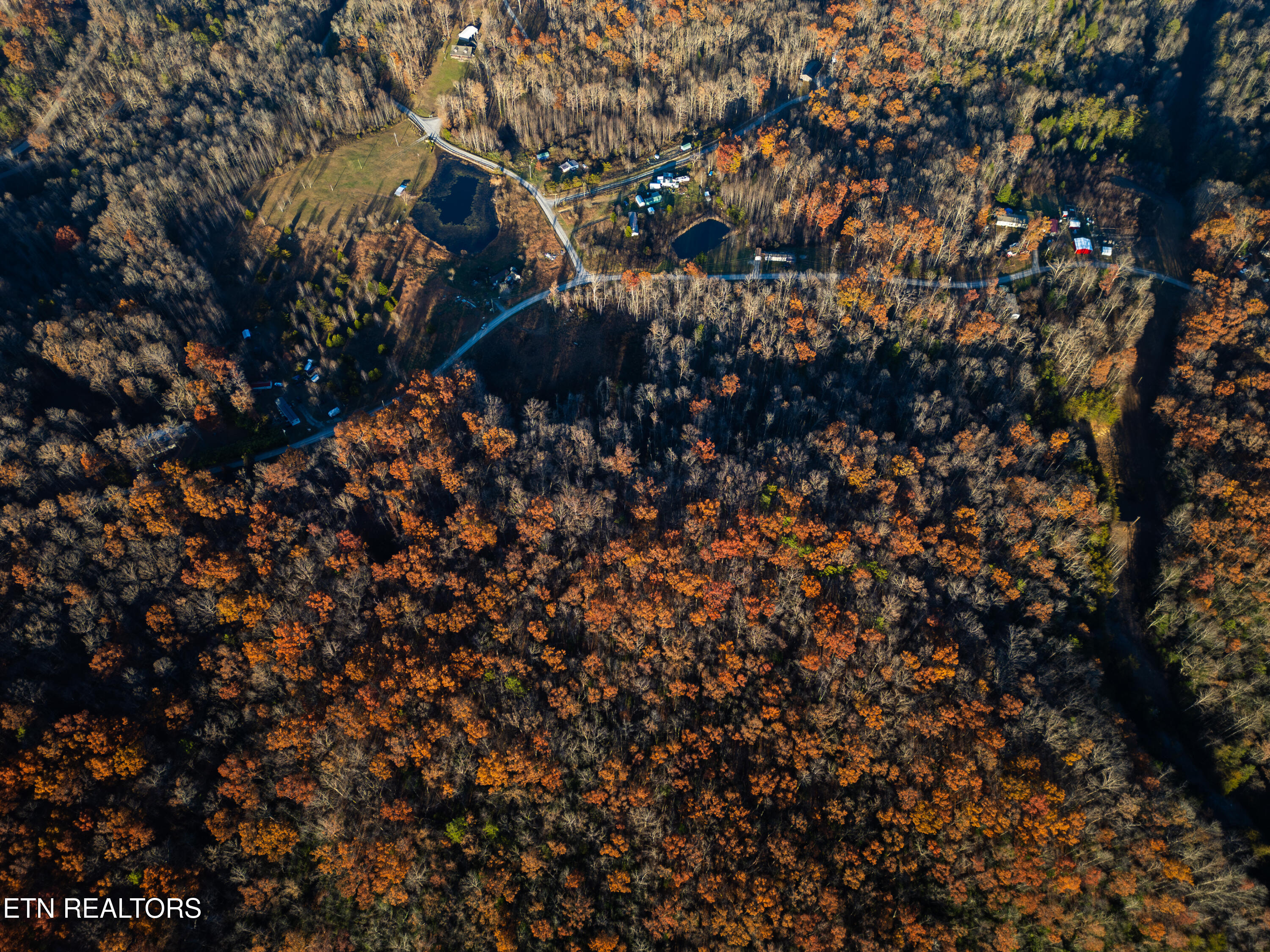 407 Oneida Lane Wilder, TN 38589 - Photo 7 of 16 IMG_1964