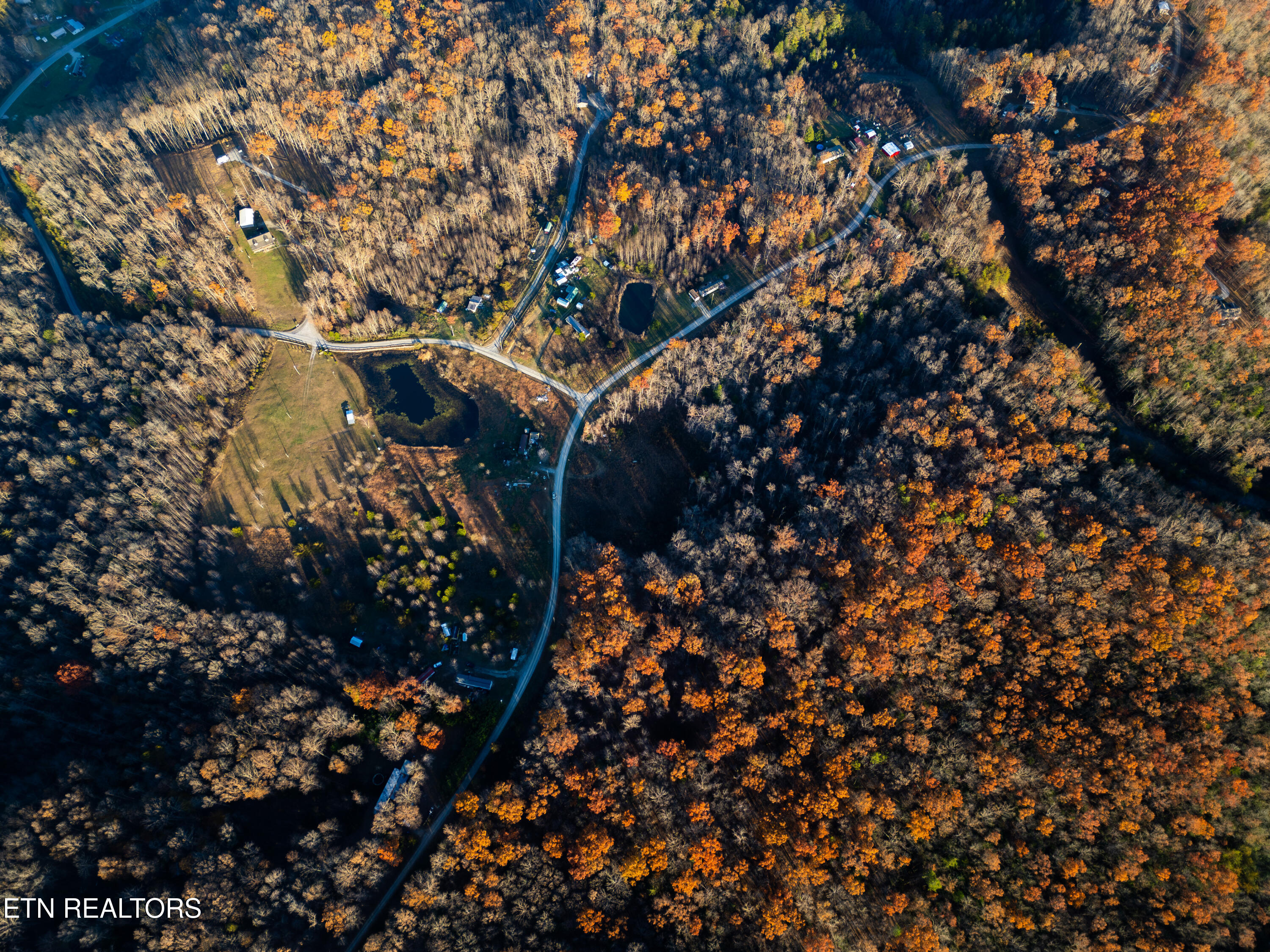 407 Oneida Lane Wilder, TN 38589 - Photo 9 of 16 IMG_1966