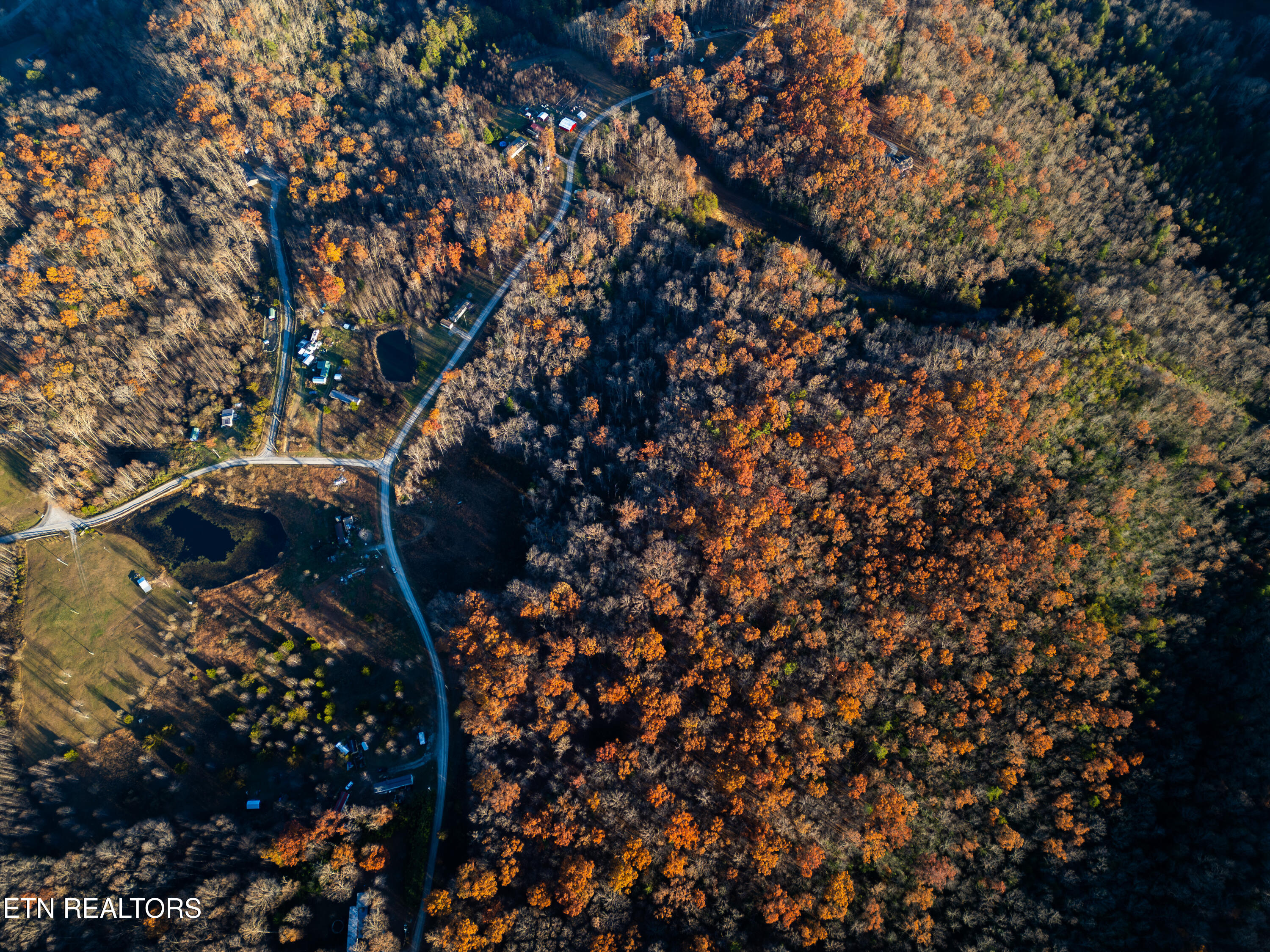 407 Oneida Lane Wilder, TN 38589 - Photo 10 of 16 IMG_1967