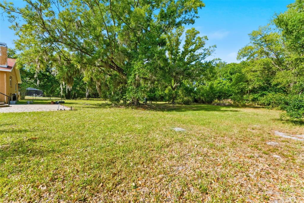 6343 Country Club Road Wesley Chapel, FL 33544 - Photo 51 of 60