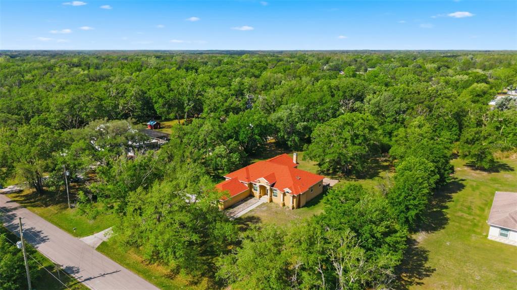6343 Country Club Road Wesley Chapel, FL 33544 - Photo 56 of 60