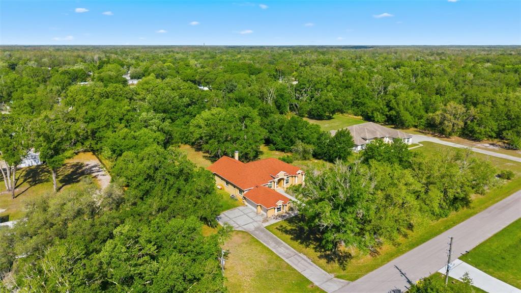 6343 Country Club Road Wesley Chapel, FL 33544 - Photo 57 of 60