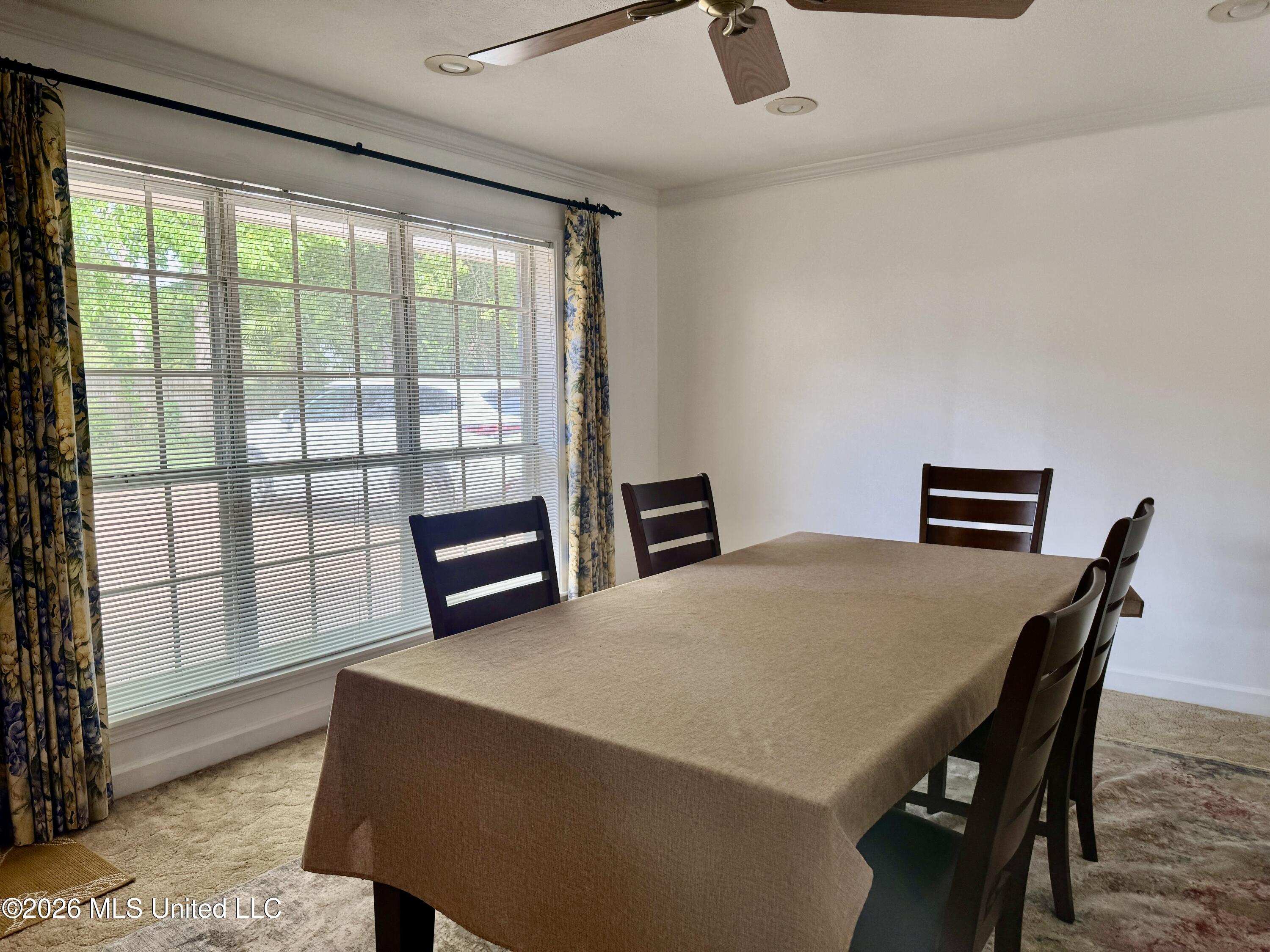 109 North Meadow Road Natchez, MS 39120 - Photo 12 of 28 IMG_9971