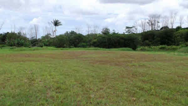 17 A Akolea Road Hilo, HI 96720 - Photo 11 of 24 Gallery Image 11