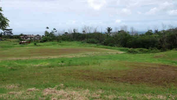 17 A Akolea Road Hilo, HI 96720 - Photo 13 of 24 Gallery Image 13