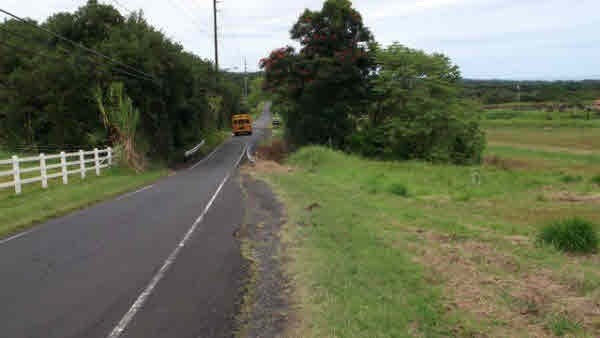 17 A Akolea Road Hilo, HI 96720 - Photo 14 of 24 Gallery Image 14
