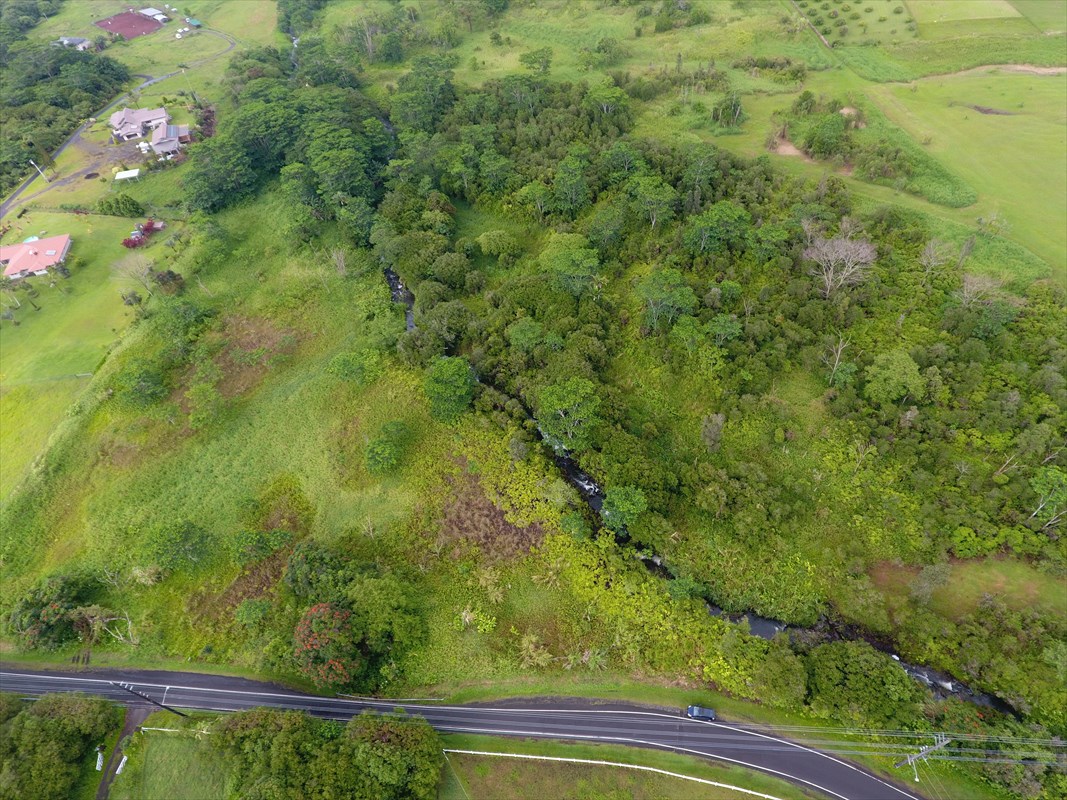 17 A Akolea Road Hilo, HI 96720 - Photo 15 of 24 Gallery Image 15