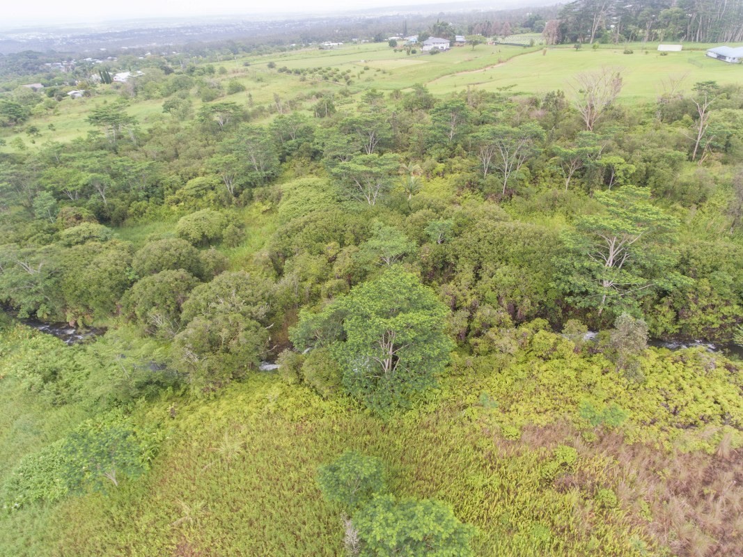 17 A Akolea Road Hilo, HI 96720 - Photo 17 of 24 Gallery Image 17