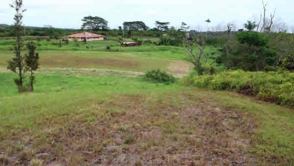 17 A Akolea Road Hilo, HI 96720 - Photo 20 of 24 Gallery Image 20