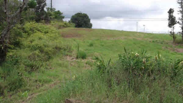17 A Akolea Road Hilo, HI 96720 - Photo 23 of 24 Gallery Image 23
