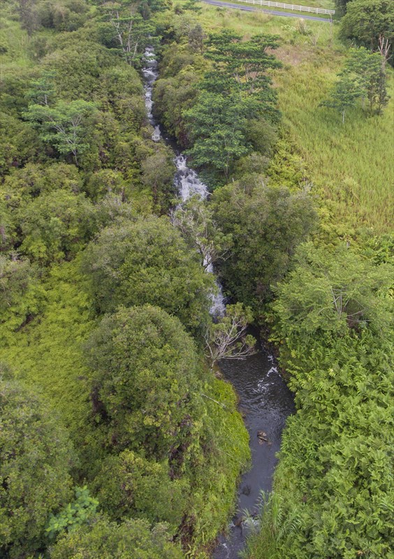 17 A Akolea Road Hilo, HI 96720 - Photo 24 of 24 Gallery Image 24