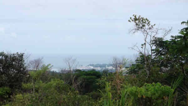 17 A Akolea Road Hilo, HI 96720 - Photo 8 of 24 Gallery Image 8