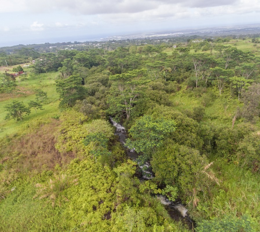 17 A Akolea Road Hilo, HI 96720 - Photo 10 of 24 Gallery Image 10