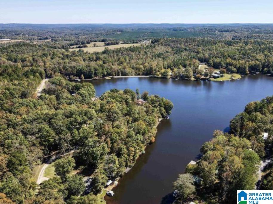 50 Lakeside Circle Delta, AL 36258 - Photo 15 of 69