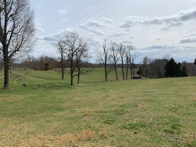 0 Frontage Road Russell Springs, KY 42642 - Photo 1 of 16 2